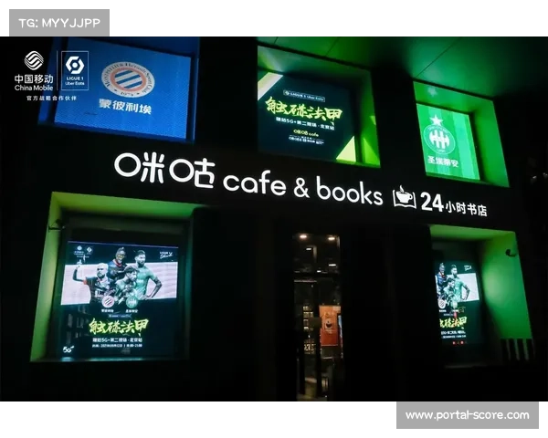 意甲残疾球迷观赛设施升级，无障碍改造计划启动